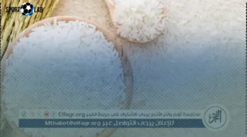 سعر طن الأرز الأبيض والشعير في المنيا يتراجع اليوم الإثنين 24 نوفمبر 2025